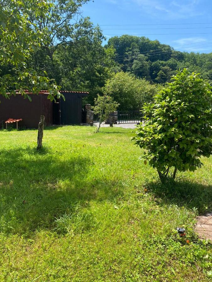 Casa Rural Laurenea Otsango Auzoa Εξωτερικό φωτογραφία